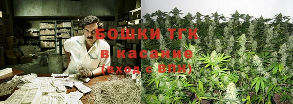 ПСИЛОЦИБИНОВЫЕ ГРИБЫ Алексеевка