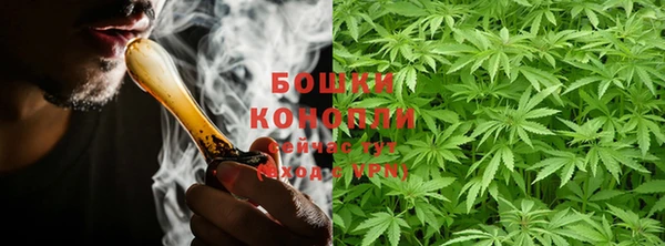 ПСИЛОЦИБИНОВЫЕ ГРИБЫ Алексеевка
