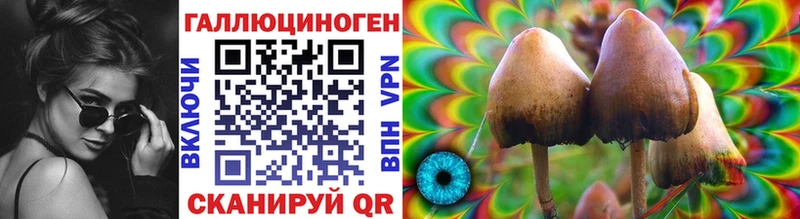 Галлюциногенные грибы мицелий  omg   Поворино 